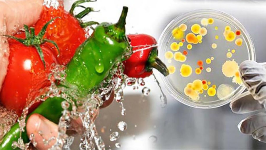 Симптомы и лечение дизентерии - Паразиты в организме человека